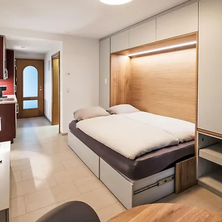 B01 By Interhome * לויקרבאד